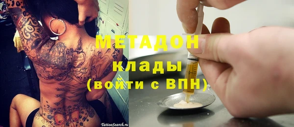 шишки Абаза