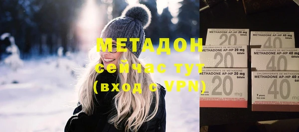 шишки Абаза