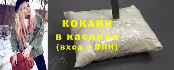 шишки Абаза