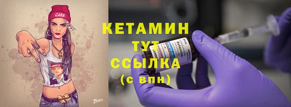 шишки Абаза