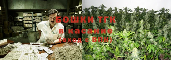 шишки Абаза