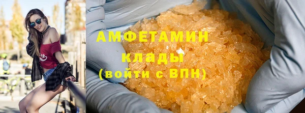 шишки Абаза