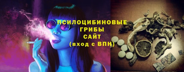 шишки Абаза