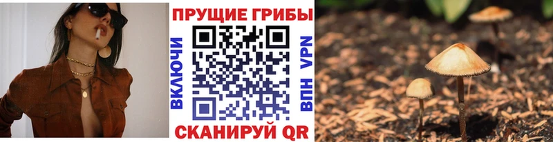 Псилоцибиновые грибы GOLDEN TEACHER  что такое   omg зеркало  Тихорецк 